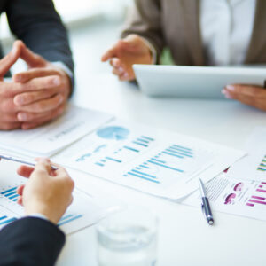 Consulting and Audit