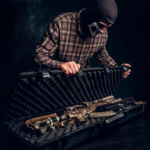 Nerf Guns vs PCP Air Rifles: From Play to Precision – Choosing the Right Option