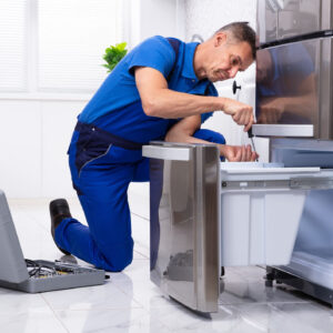 Appliance Repair Services