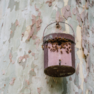 Can Bees Nest in Mailboxes? What to Do