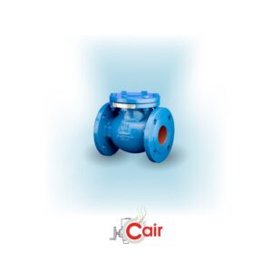 Non Return Valve IS 5312-2