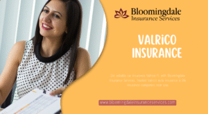 Valrico Insurance