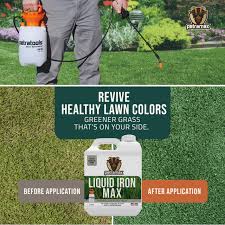 Iron for Lawns