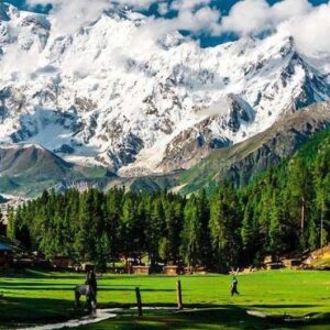 fairy meadows