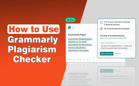 plagiarism checker