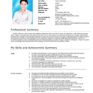 Which CV Format is Best for Dubai