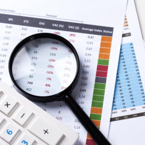 Bank Statement Analyzer