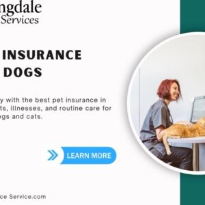 best pet insurance for dogs