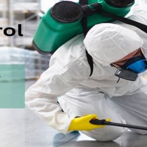 Pest Control Services in Oakland