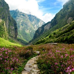 Valley of Flowers