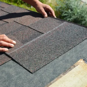 Shingle Roof