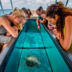 Key West Tour