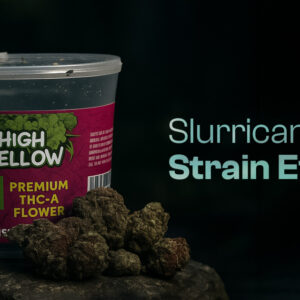 Slurricane strain