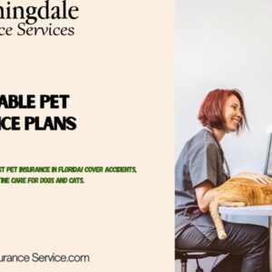 Affordable Pet Insurance Plans