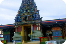 Nadi Airport Transfer