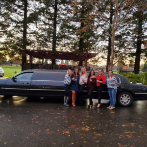 Disneyland Limo Service