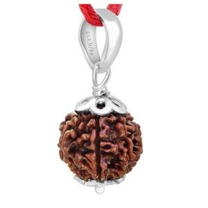7 Mukhi Rudraksha