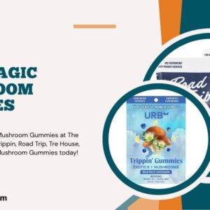 Best Magic Mushroom Gummies