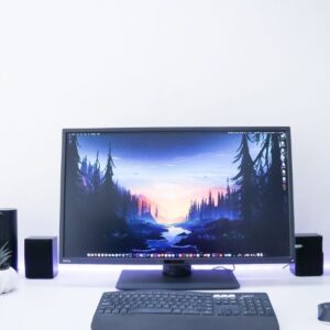 United States Computer Monitor Market