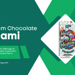 mushroom chocolate miami