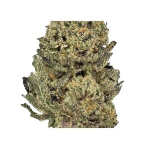 Mango Sherbert Strain​