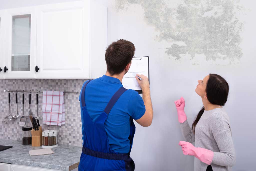 Mold Testing Services Howard County