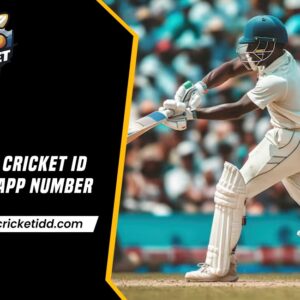 Online Cricket ID WhatsApp Number