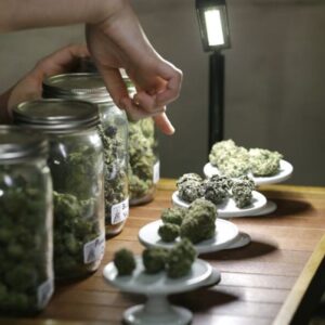 weed shop in Washington DC