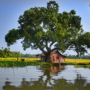 12 days Kerala heritage tour