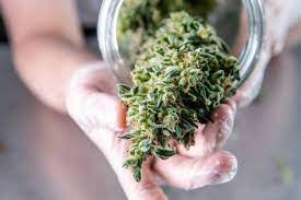 wholesale weed