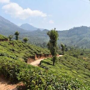 11 days south india tour