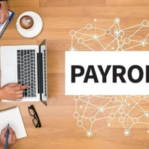 Understanding the Payroll Process in India: A Complete Guide for Employers