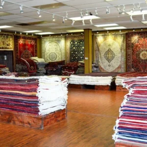 experts carpet cleaning Vancouver