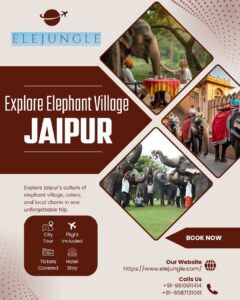 Elephant Village Jaipur