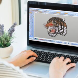 Digitizing Embroidery Designs