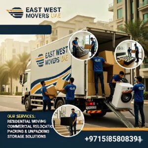 Professional Moving Services in Palm Jumeirah