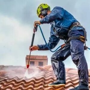 roof cleaning services