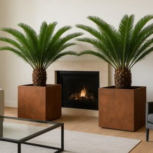 salon-donice-corten