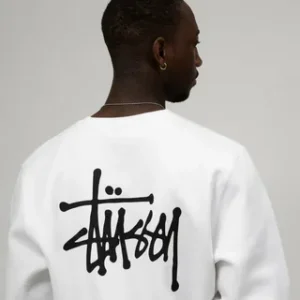 stussy t shirt