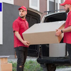 Packers and Movers (1)
